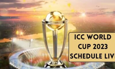 ICC World Cup 2023 Schedule Live ODI World Cup Schedule announced, matches will be held in these 12 Cities, India and Pakistan great match on 15 October