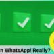 Now there will be not two but three ticks in WhatsApp, Why is it being said nowadays?