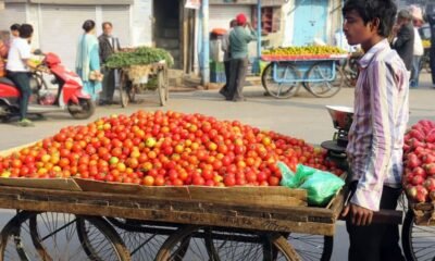How can people in general see a decrease in the cost of tomatoes? The wholesale price has dropped by 29%