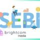 sebi took action on Brightcom