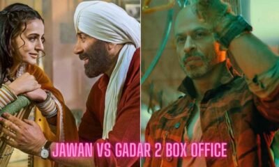 Jawan vs Gadar 2 Box Office