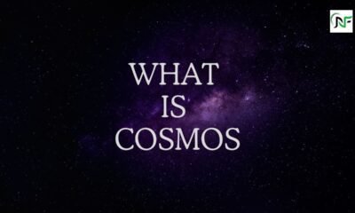 What is Cosmos: Revealing the Endless Mysteries of the Universe