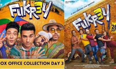 Fukrey 3 Box Office Collection Day 3 Fukrey 3 achieved this figure with the huge earnings of the third day