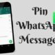 Amazing New Feature in WhatsApp, see full details