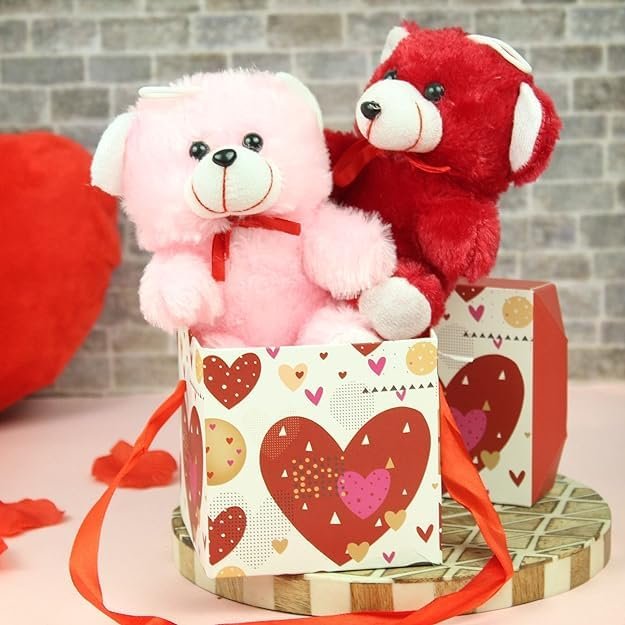 TIED RIBBONS Valentine Gift Combo
